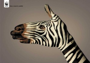 WWF-Zebra-Promotional-Image-Osocio.org_